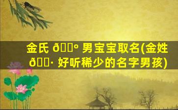金氏 🐺 男宝宝取名(金姓 🕷 好听稀少的名字男孩)
